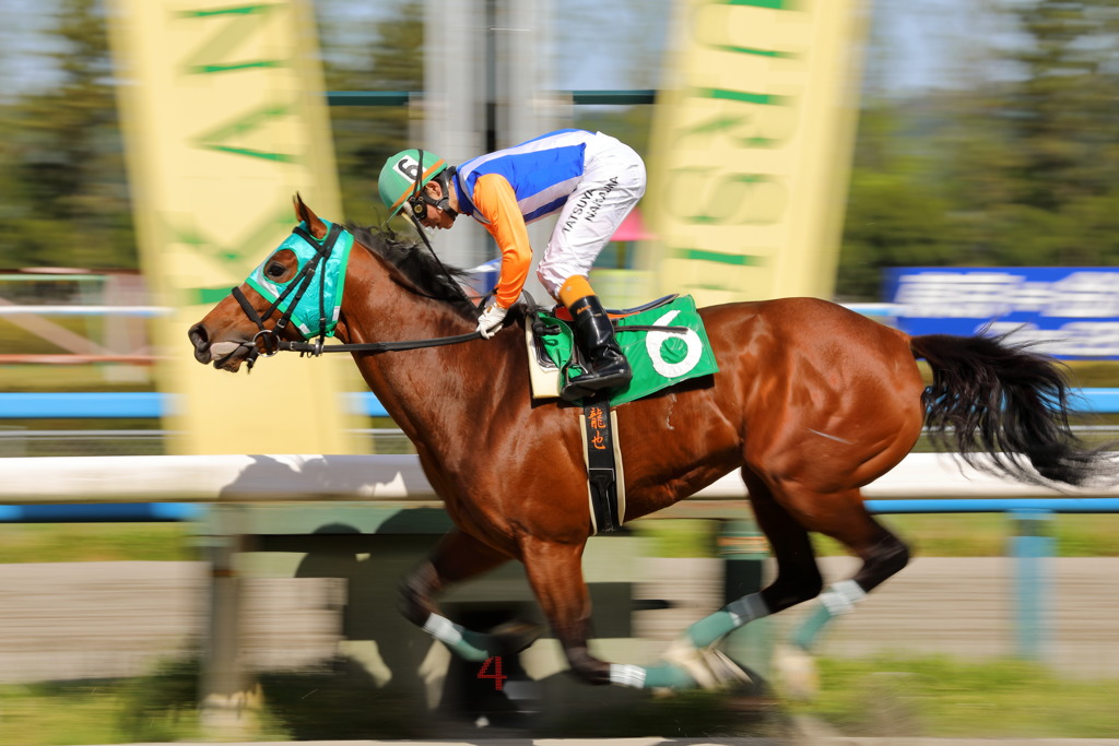 競馬5