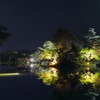 兼六園ライトアップ3