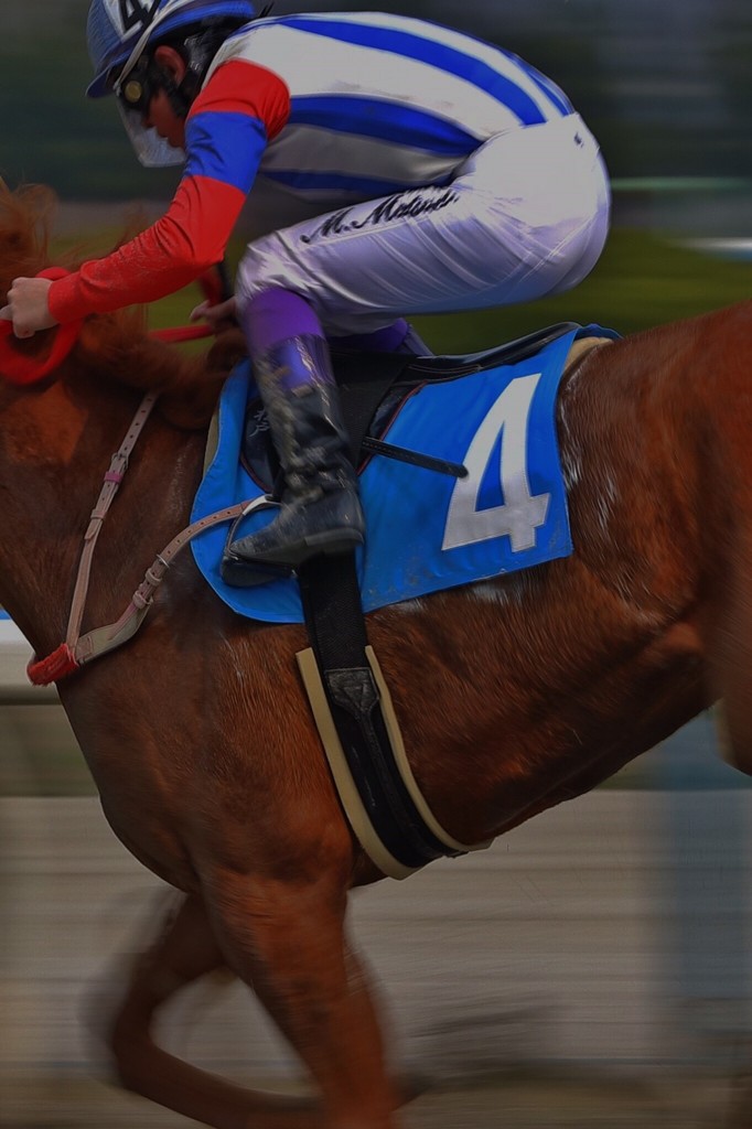 競馬14