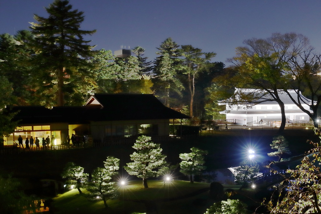 玉泉院_秋の陣2