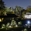 玉泉院_秋の陣2