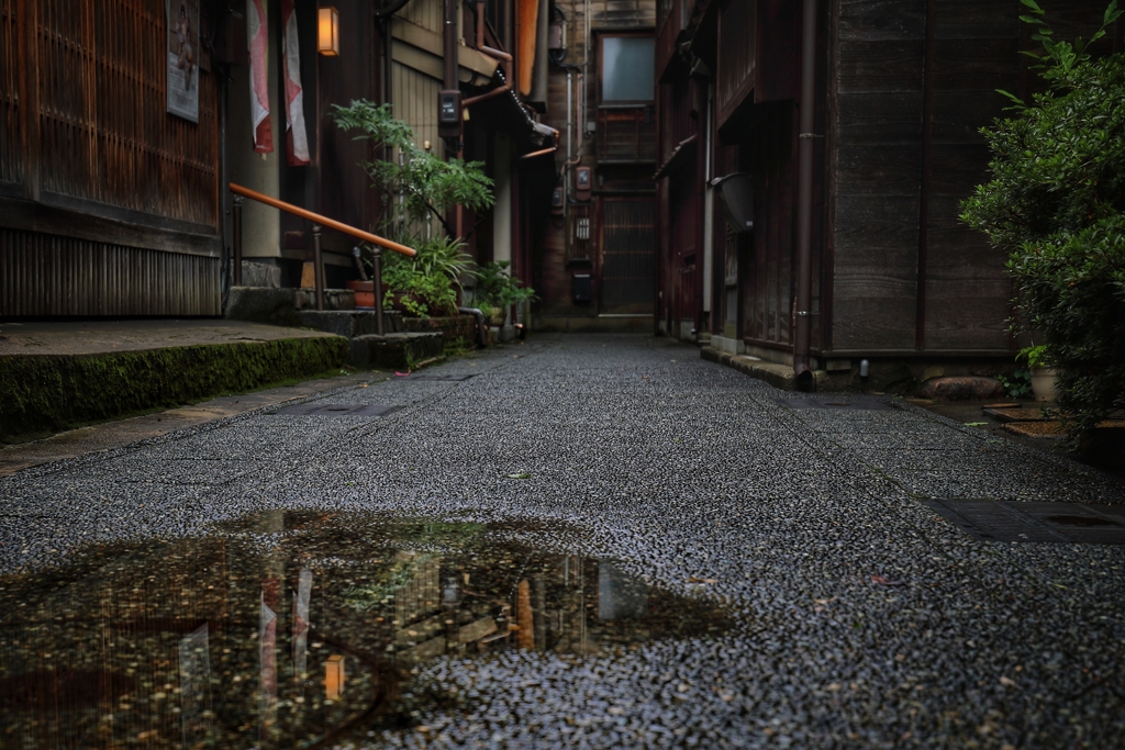 雨上がりの路地裏2