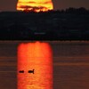 河北潟の夕陽