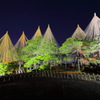 兼六園_秋の陣2