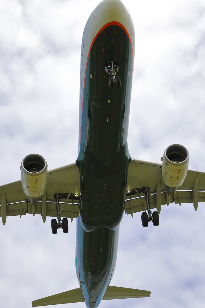 飛行機6