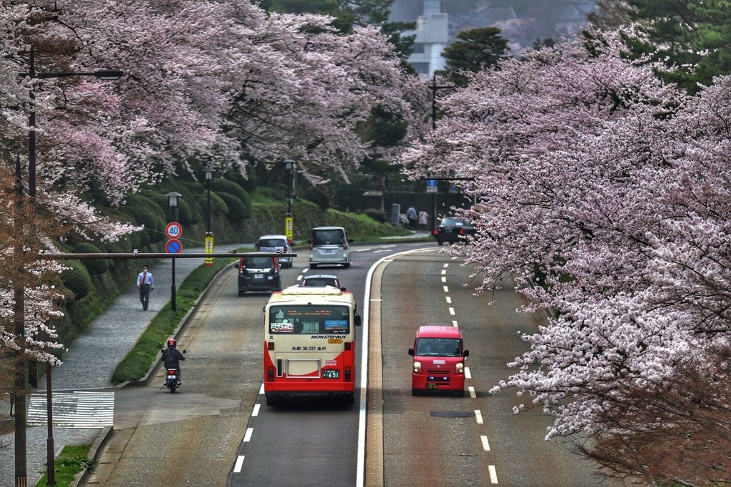 石川橋より