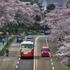 石川橋より