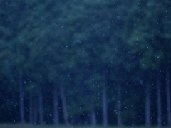 初雪