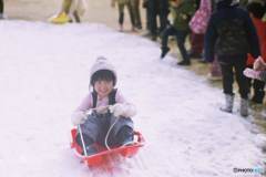 雪の降らない街でも