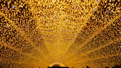 イルミネーション