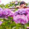 娘と紫陽花