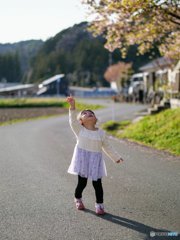 みてっ!