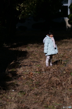 枯れ草を踏み