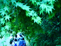雨上がりの遠足