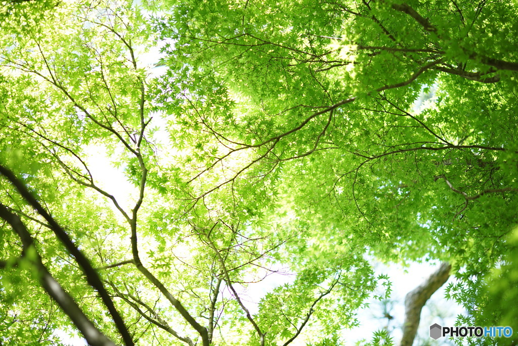 秋になったらどうなるかな?