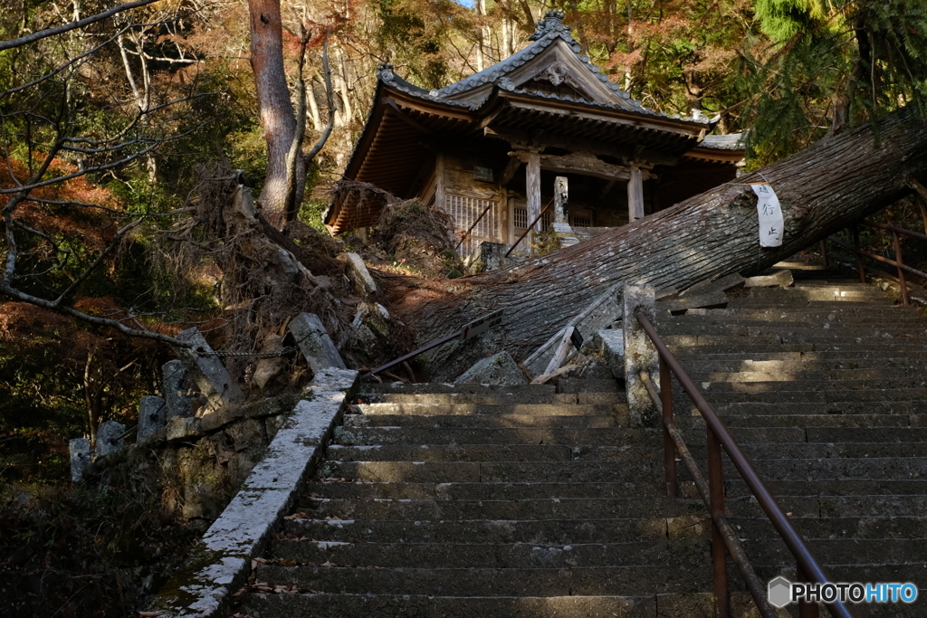 この先入るべからず