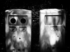 P9180419-Edit-2