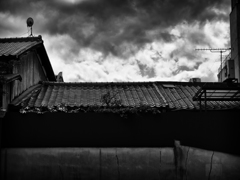 P5050204-Edit