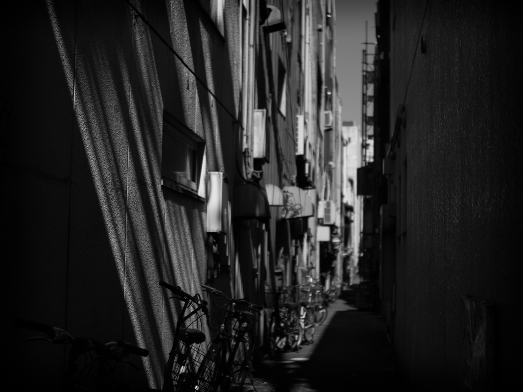P6040807-Edit