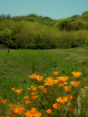 P4231097-Edit