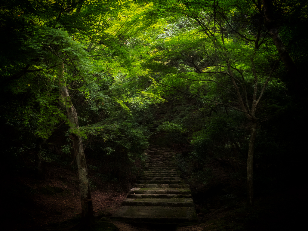 PA011089-Edit