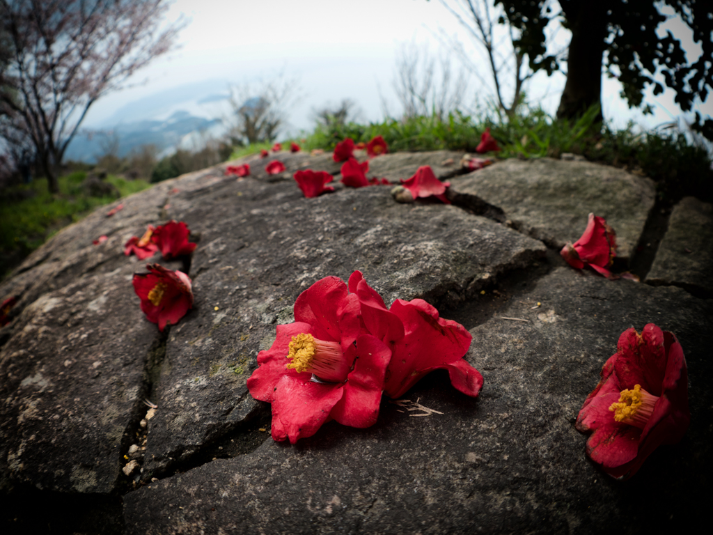 P4090147-Edit