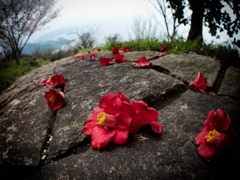 P4090147-Edit