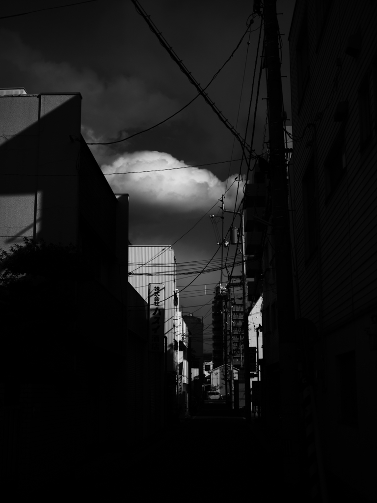 P2110156-Edit