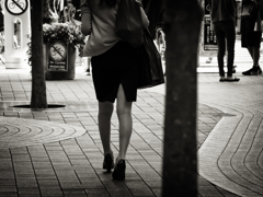 P4291730-Edit