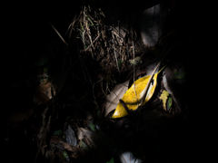 P9180477-Edit