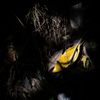 P9180477-Edit