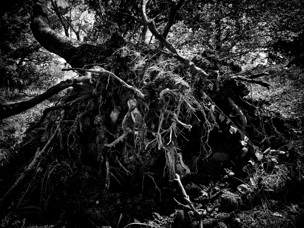 P9180469-Edit