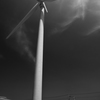 P5140662-Edit