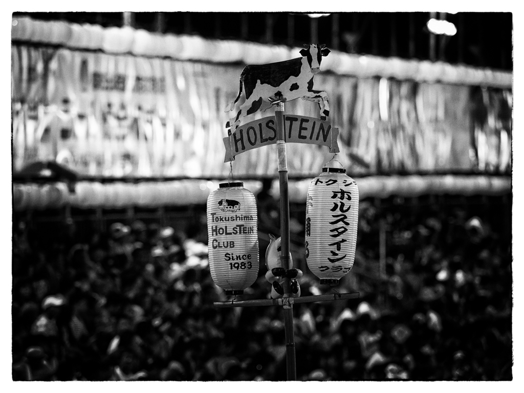 P8140724-Edit-2