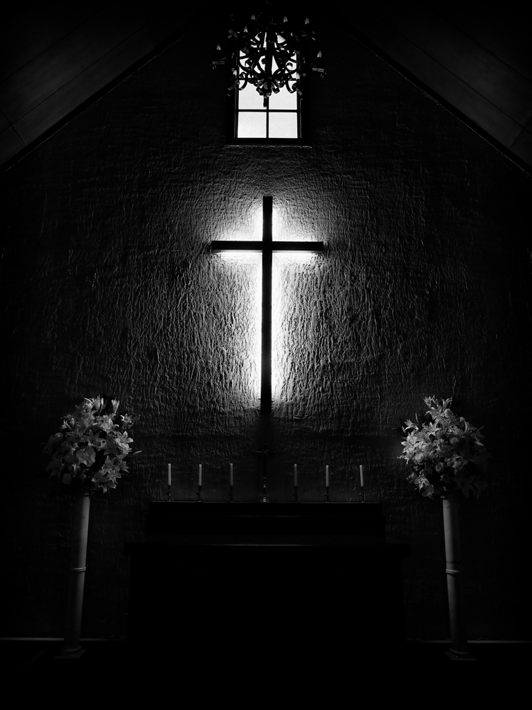 P8240199-Edit