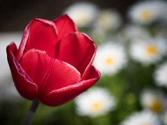 P4150525-Edit