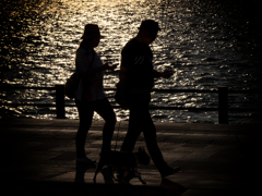 P7160154-Edit