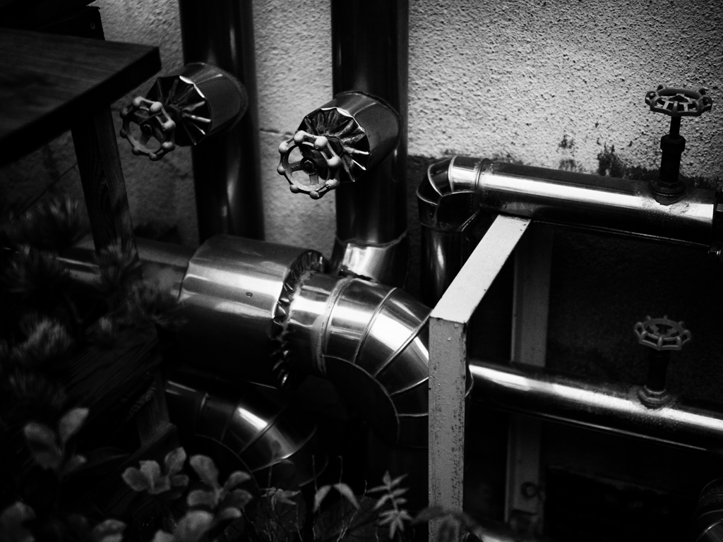 PB040205-Edit
