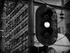 P4291826-Edit