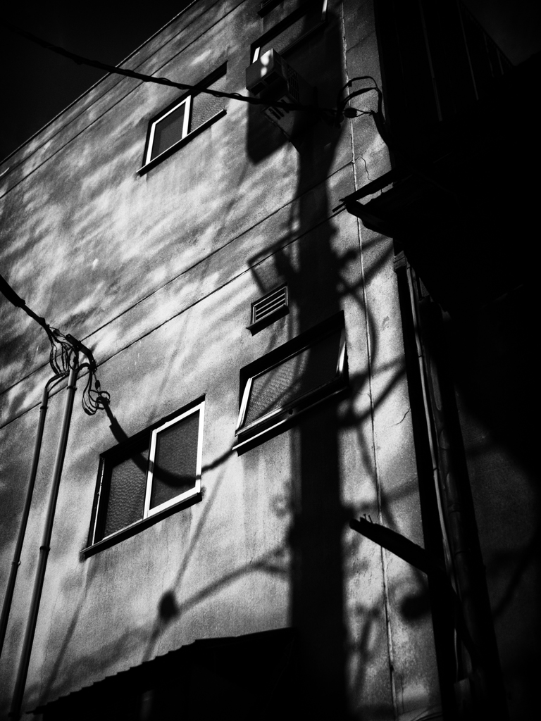 PA080105-Edit