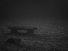 P6250276-Edit