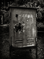 P5050067-Edit