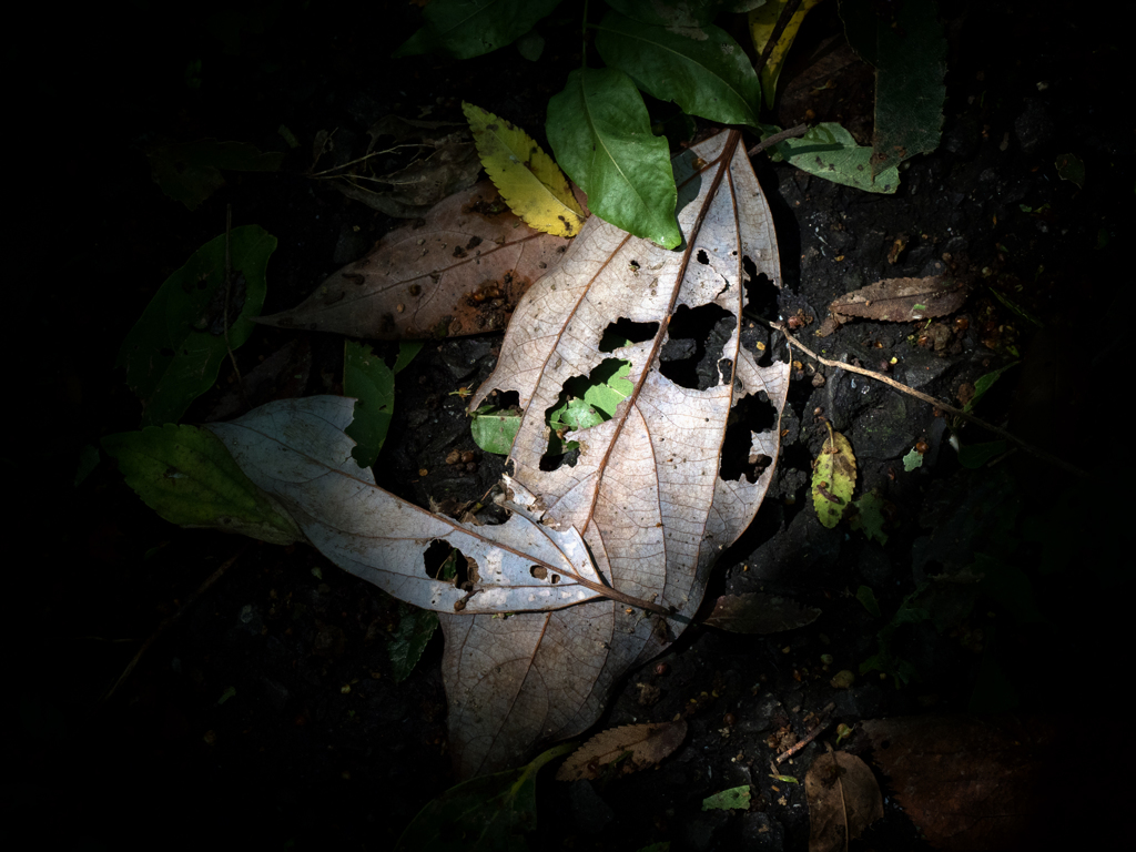 P9180370-Edit