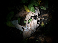 P9180370-Edit