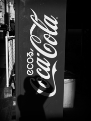 P5200054-Edit