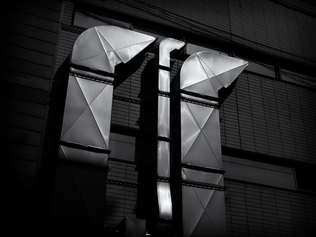 P2250125-Edit-2