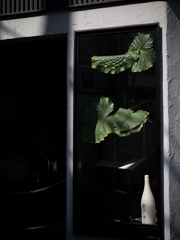 P6040816-Edit