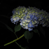 P6170051