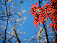 P4230844-Edit