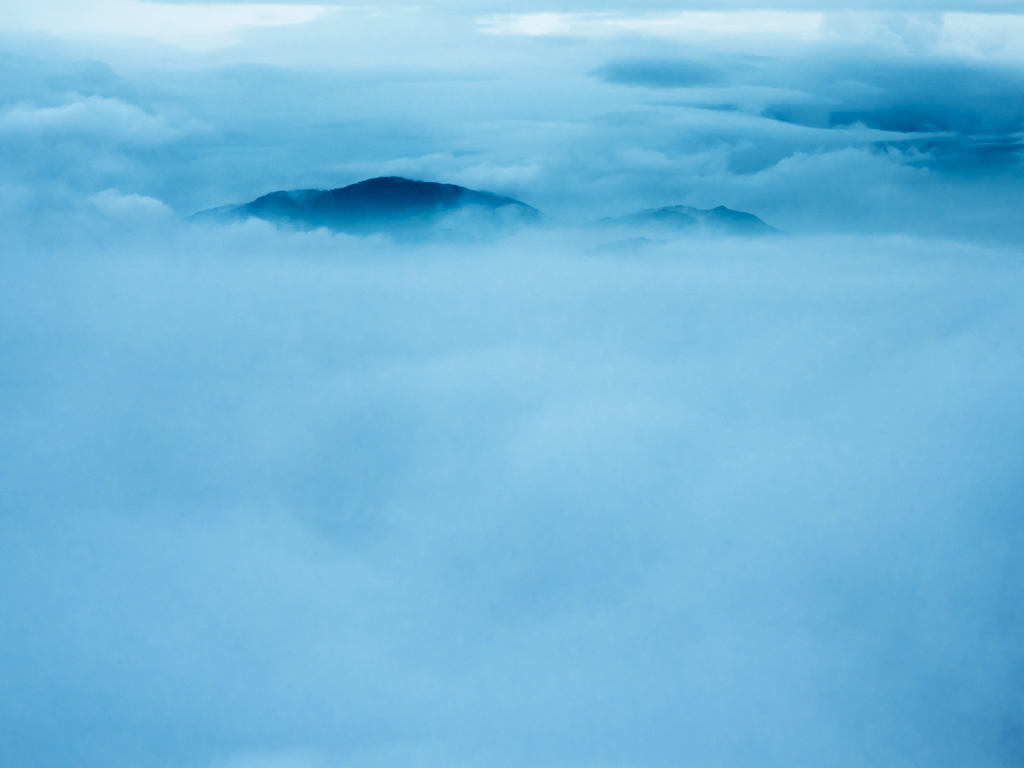 P6250166-Edit-2